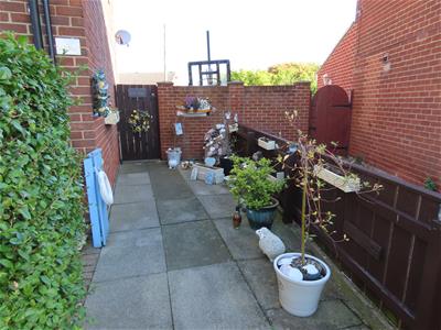 Picture 14